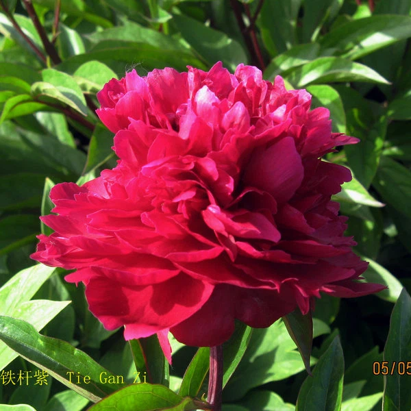 image009 image009